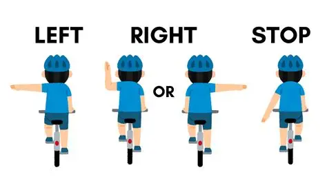 Bicyclist arm signals: Left arm straight out for left turn; left arm bent down for stop; left arm bent up for right turn; right arm straight out for right turn (alternative).