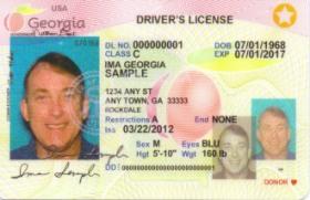 Limited Term DL/IDs interimsecure.jpg